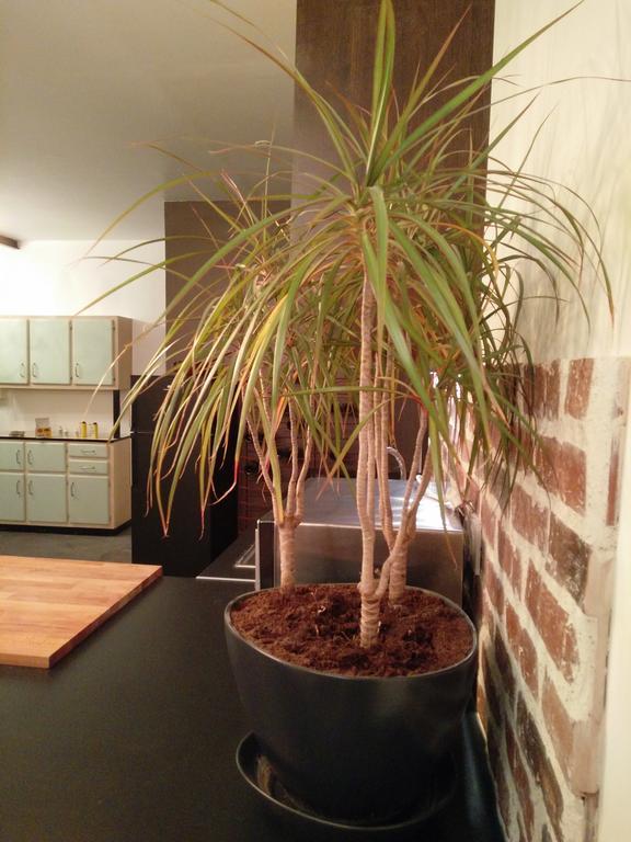 La Maison D'Alexandre องเฟลอร์ ภายนอก รูปภาพ